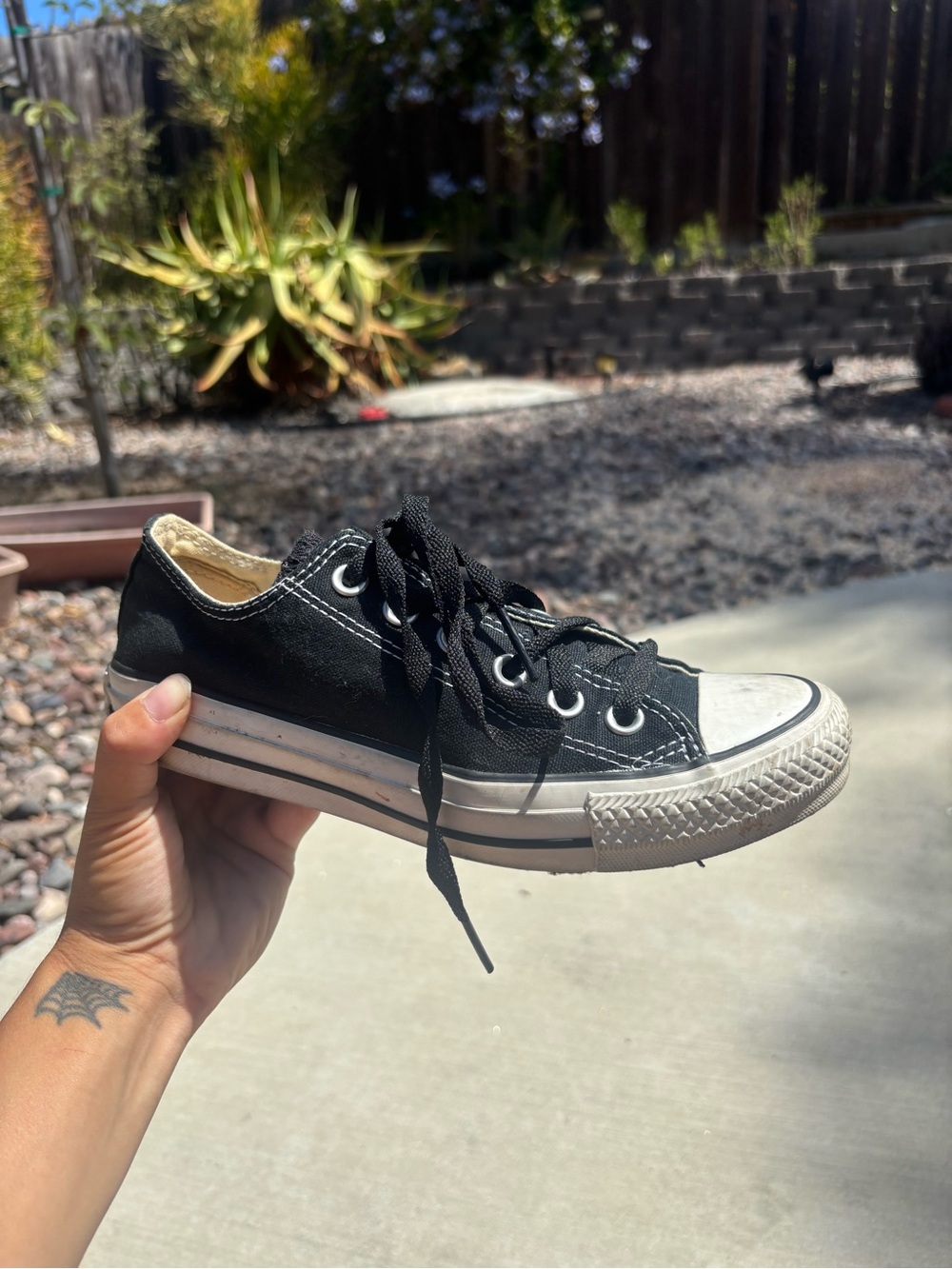 Converse - Picture 3 of 6